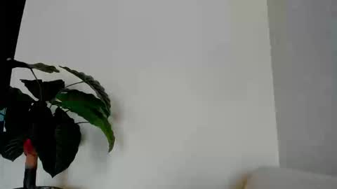 My name is ElizaPVT is open online show from September 8, 9:25 pm