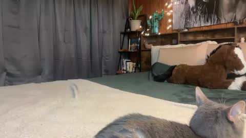 Ella online show from July 6, 3:03 pm