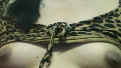 Snapshot of ellah_morena chatting on January 31, 3:00 pm Ellah online show from January 31, 3:00 pm