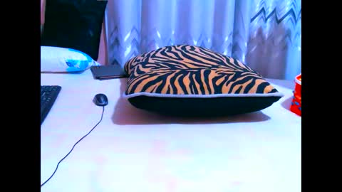 elodielynn online show from May 19, 4:41 am