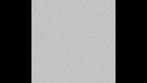 Ely online show from March 12, 11:31 am