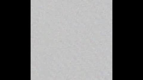 Ely online show from February 18, 11:22 am