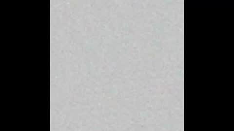 Ely online show from February 12, 12:01 pm