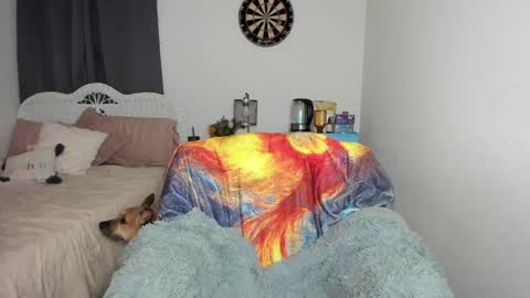 Ember Pheonixxx online show from January 17, 3:12 am