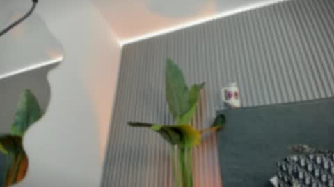 emelie_89 online show from May 25, 11:42 am