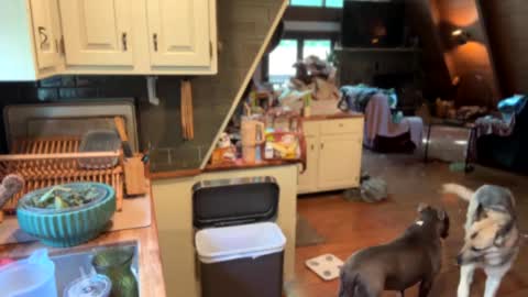 popalottapuss - puddin tits - daddy - buttercup - bonfire - Mrs. Fuck Yea - hibeams - honey buns - online show from May 28, 3:54 pm