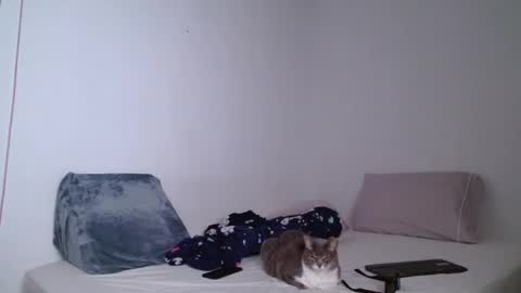 emiliaabrown online show from March 23, 11:22 pm