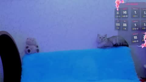 Ki online show from October 16, 1:08 am