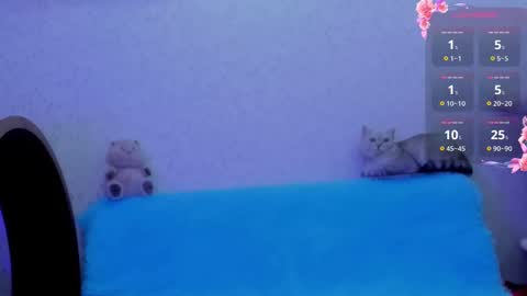 Ki online show from October 15, 12:35 am