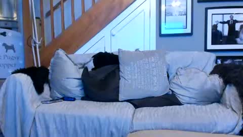 englishcouple81 online show from July 4, 1:45 am