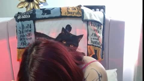 Evanssa lx online show from February 4, 8:01 pm