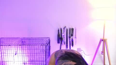 EVA SAVAGEIm recovering from surgery. Ill see you in a couple of weeks. online show from May 14, 6:36 pm