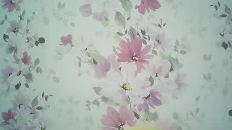 Evelina online show from May 12, 4:13 pm