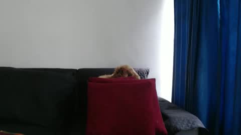 evilheart_69 online show from April 3, 7:56 pm