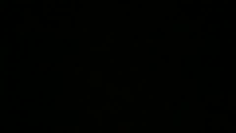 FeralLux33x online show from January 8, 6:06 am