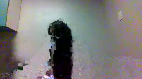 fiiji710 online show from October 3, 9:42 pm