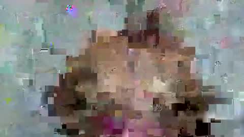 florencia011 online show from May 11, 11:12 am