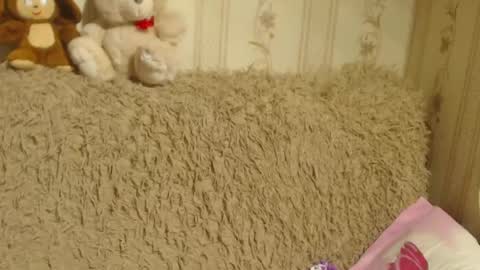 Snapshot of flowercandydoll chatting on December 25, 11:20 pm say meow and send tip online show from December 25, 11:20 pm