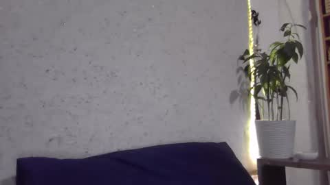 fox_red_lady7 online show from November 17, 5:13 pm