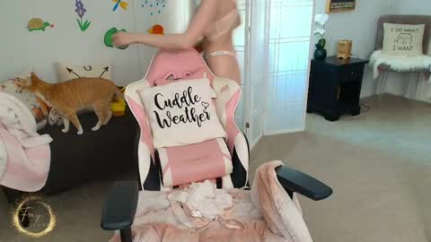 Lex Vive foxygamer cb online show from May 27, 1:38 am