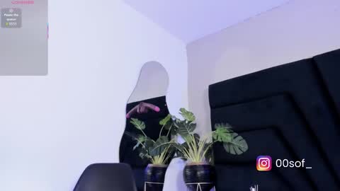 Katt Schedule 700a.m - 200p.m Col hour online show from February 21, 1:01 pm