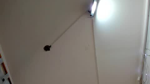 Frezzita online show from October 16, 8:22 pm