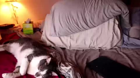 fuckmypussyplz1 online show from February 3, 12:47 am