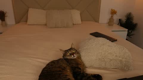 Snapshot of funny_to_see_you_here chatting on September 9, 2:28 pm Katy Noel - online show from September 9, 2:28 pm