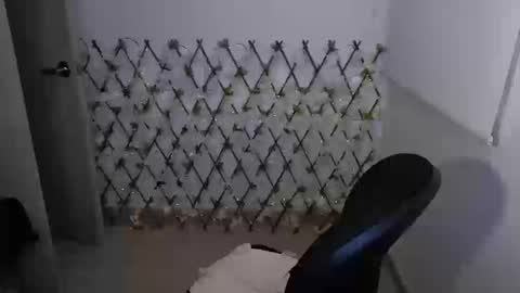 Snapshot of genet_ chatting on September 23, 12:31 am genet_ online show from September 23, 12:31 am