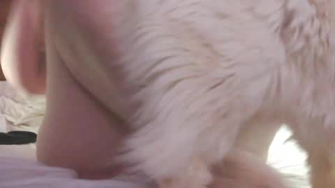 Rose online show from February 26, 12:42 am