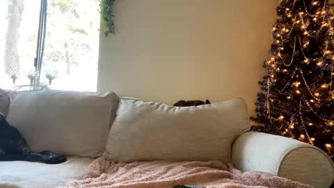 GoddessMayvn online show from December 6, 6:39 pm