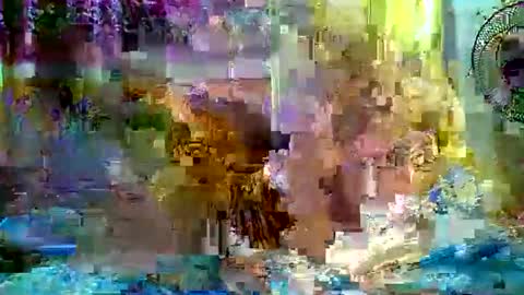gorgeousasianbabe online show from May 24, 2:16 pm