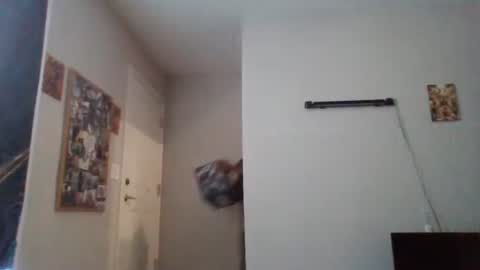 Sue Goddess online show from November 14, 7:25 pm