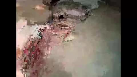 harleen848 online show from October 20, 1:47 pm