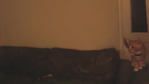 Harleyslut online show from October 16, 10:56 pm