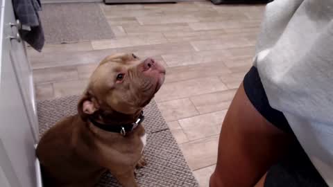 Holi Hurricane online show from October 17, 2:37 am