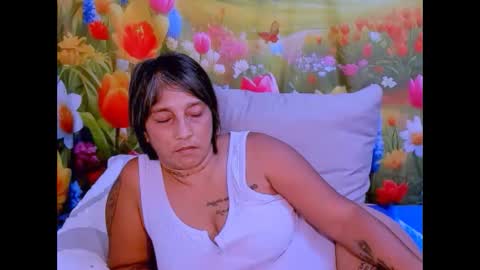 roxy online show from November 13, 12:31 am