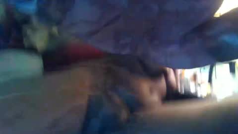 indigo_scorpio online show from April 16, 7:52 am