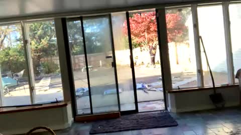 IntoTheWoodsWeGo online show from November 13, 8:30 pm