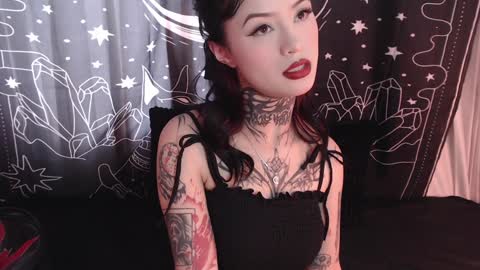    online show from January 29, 8:04 pm