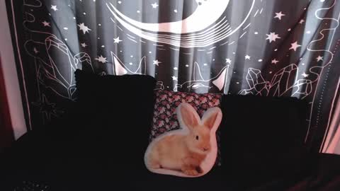    online show from January 8, 7:03 pm