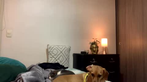 Isa online show from October 10, 12:15 am