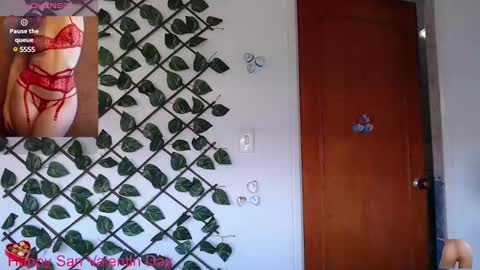 Snapshot of ivana_rose chatting on February 18, 7:54 pm Adris online show from February 18, 7:54 pm