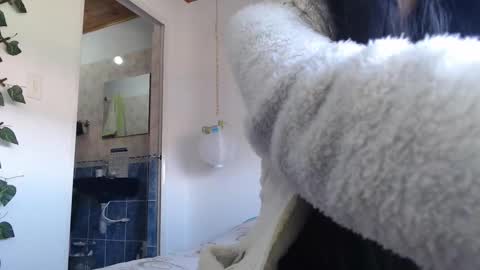 Snapshot of ivana_rose chatting on February 28, 9:12 pm Adris online show from February 28, 9:12 pm