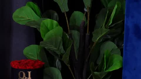 jenna_day online show from May 23, 6:34 am