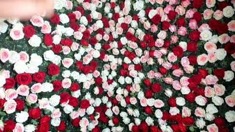 JESEY online show from April 9, 9:09 pm