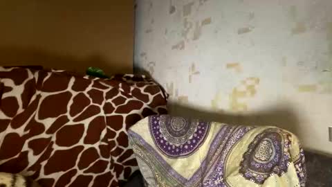 jessika_evans online show from May 11, 4:59 pm