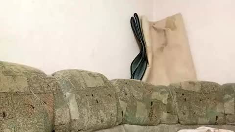 Snowie online show from March 13, 12:06 pm