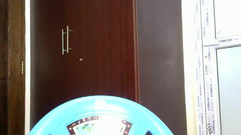 Snapshot of joankein_255 chatting on October 9, 4:22 pm varl online show from October 9, 4:22 pm