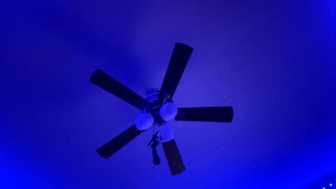 Sexy Lexi online show from January 12, 5:56 am